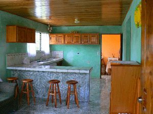 The large kitchen has much counter space.